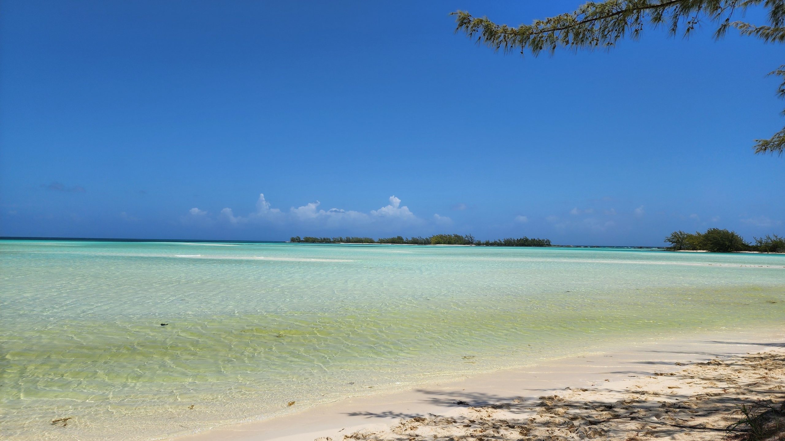 Berry Islands Excursion image 3