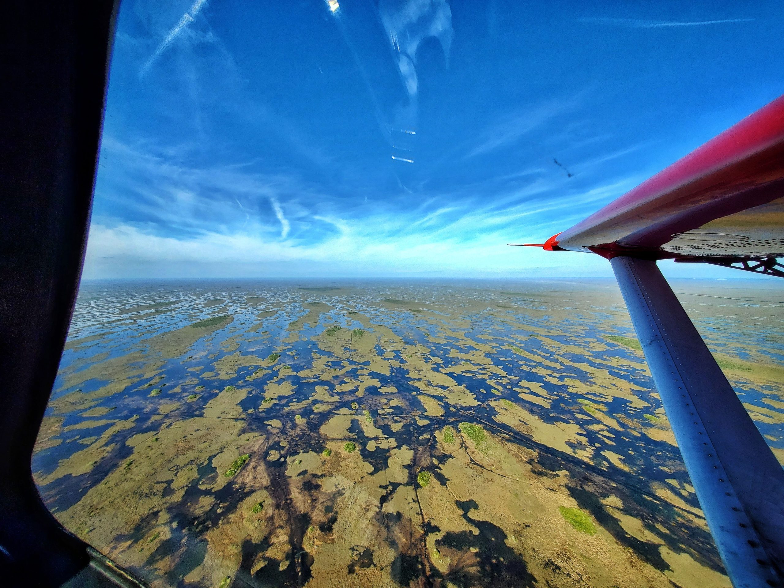 Everglades City Day Trip image 2
