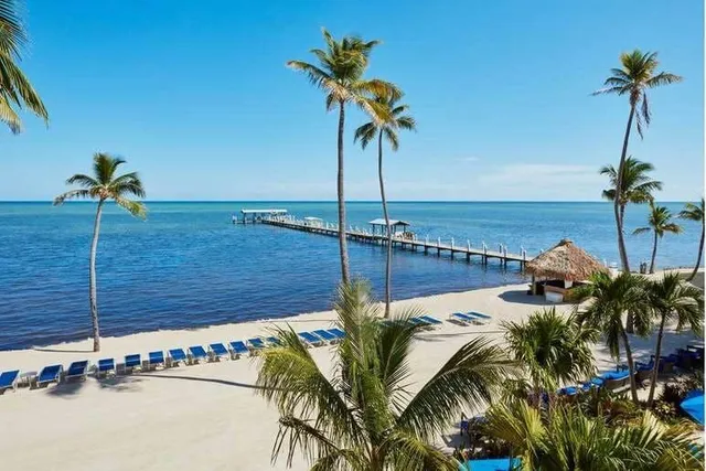 Cheeca Lodge Charter