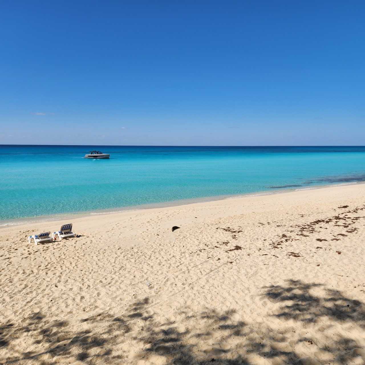 Bimini Beach Day Trip image 2