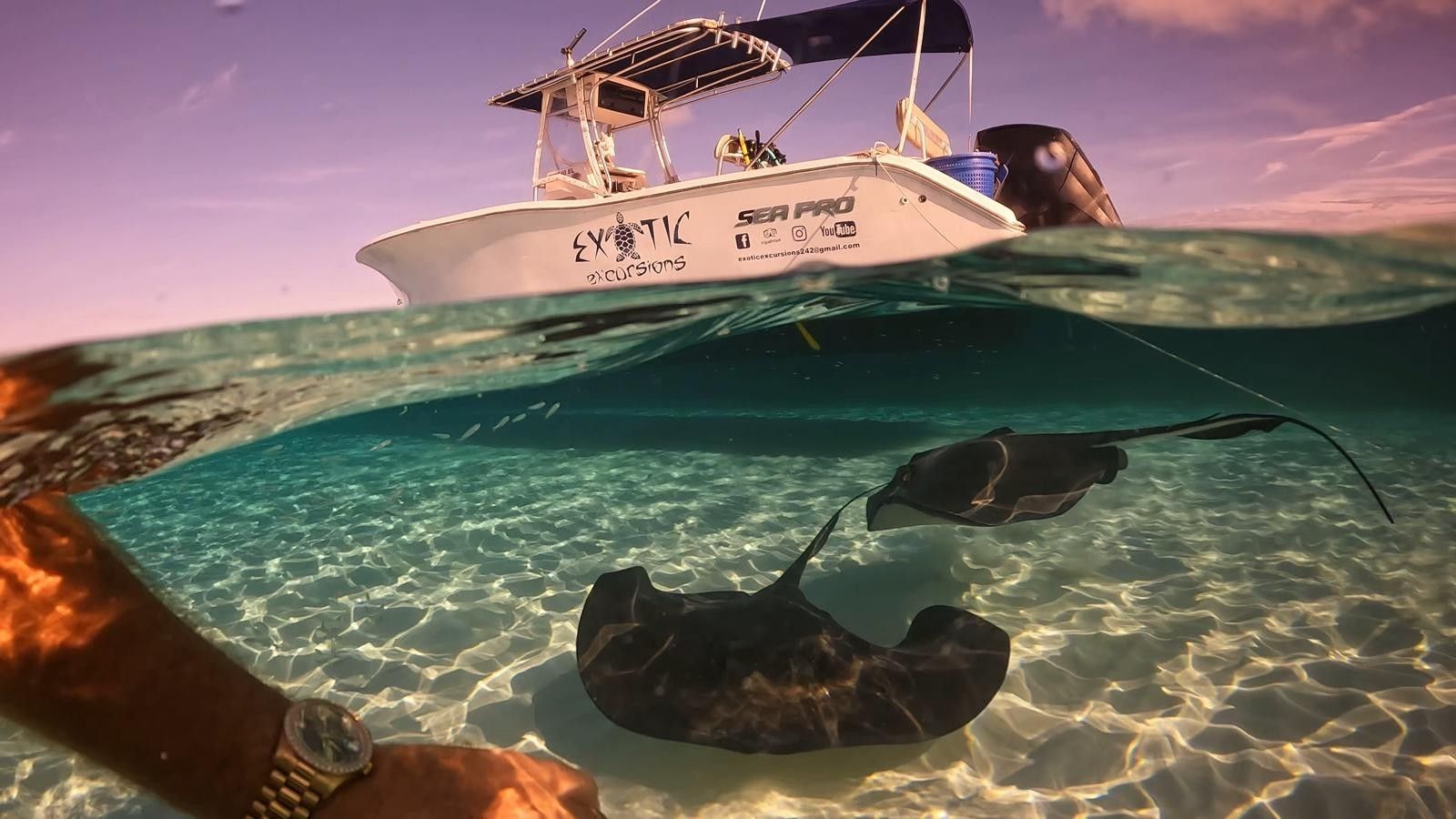 Eleuthera Day Trip image 2
