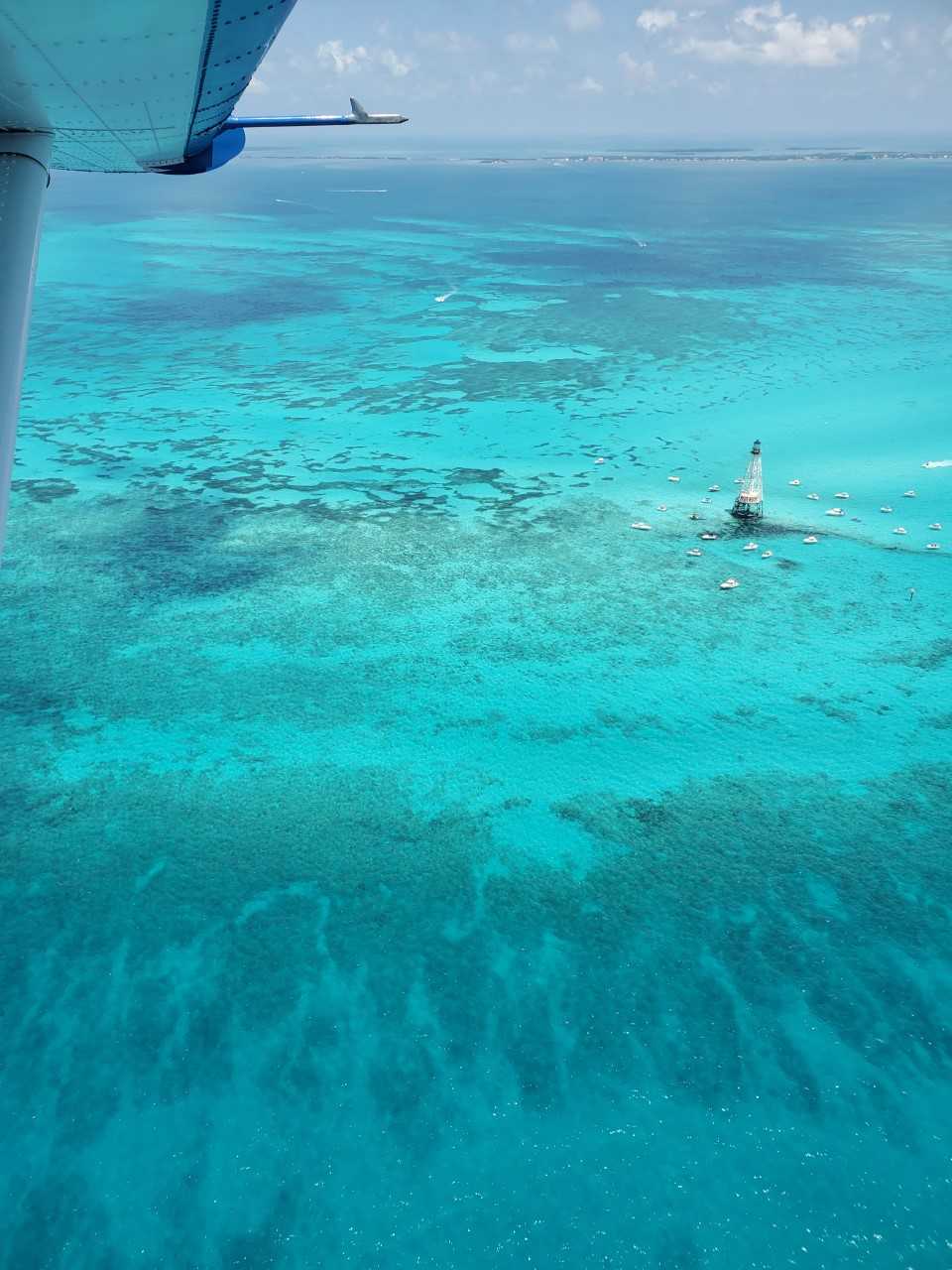 Fly and Snorkel image 3