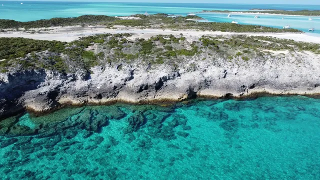 Bahamas Bliss