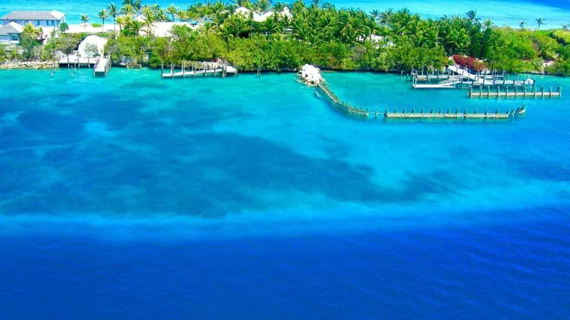 Bahamas island with turquoise waters, palm trees, and docks.