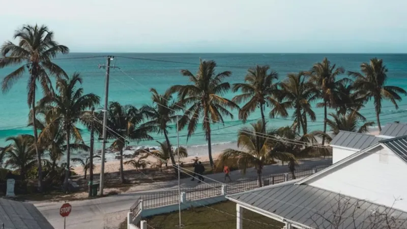 Bimini Bahamas coastal homes with palm trees and turquoise ocean.