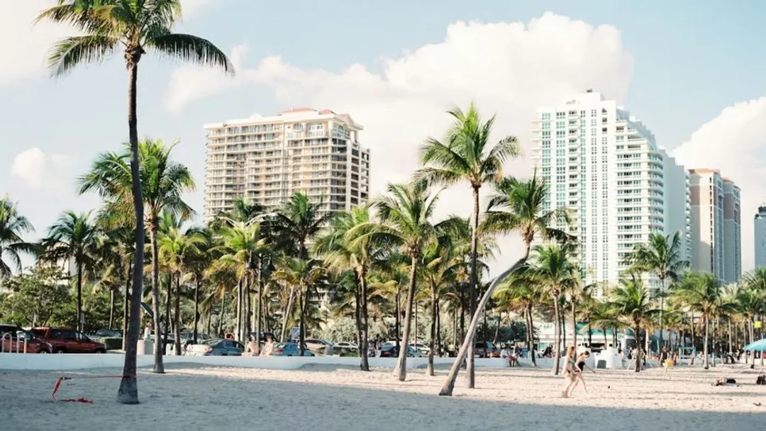 What Are the Best Things to Do in Bimini Bahamas for a Full Day of Sun, Food, and Fun?