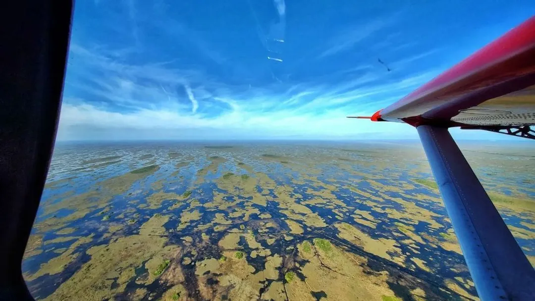 10 Best Things to Do in Everglades City on a Seaplane Day Trip from Miami