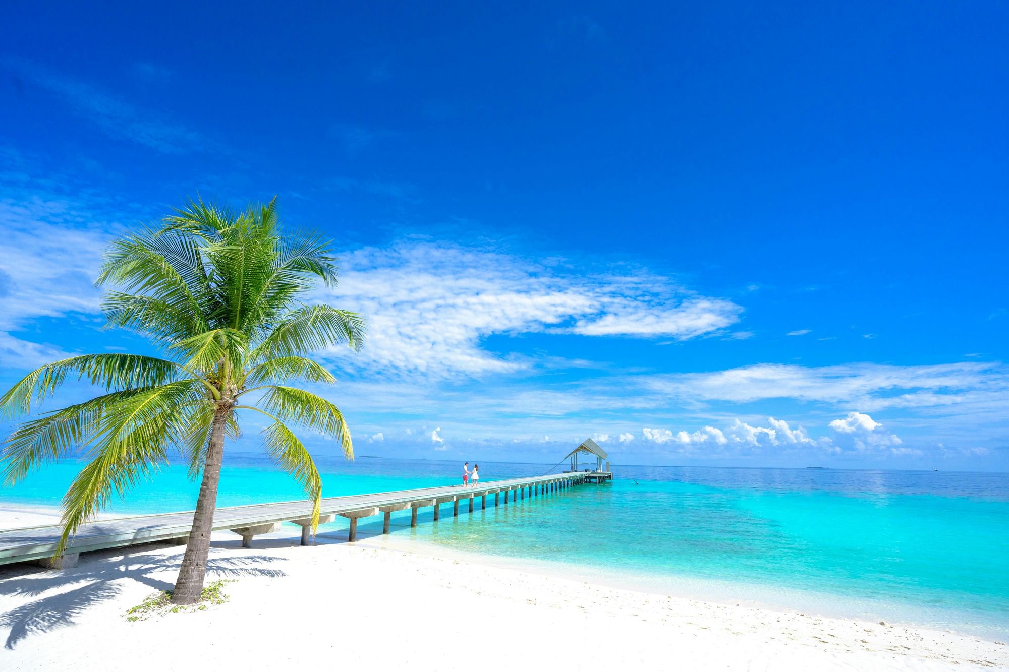 Vacation Packages