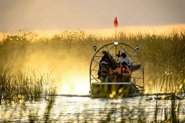 Everglades