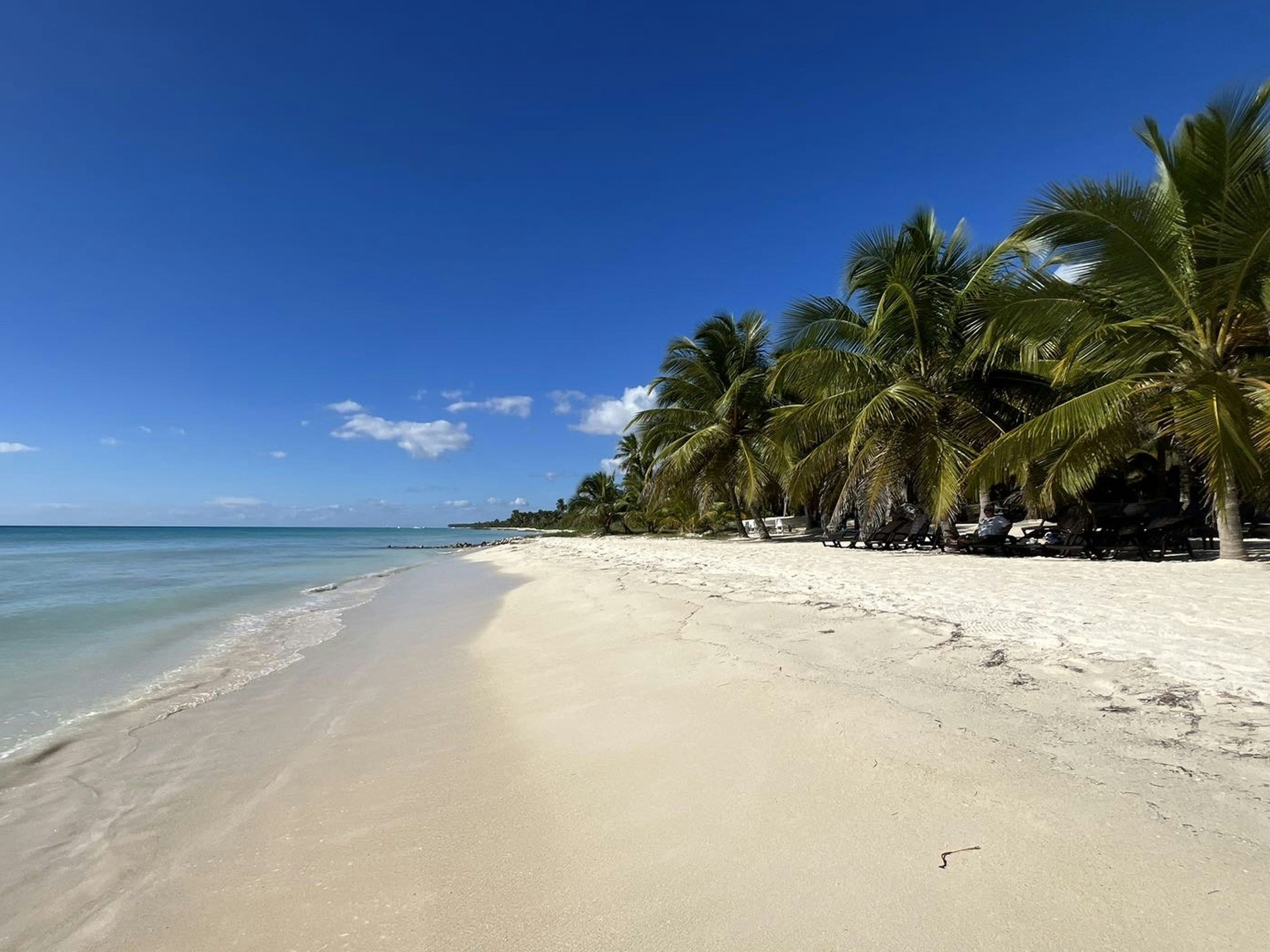 Bimini Bahamas Island Charter image 1