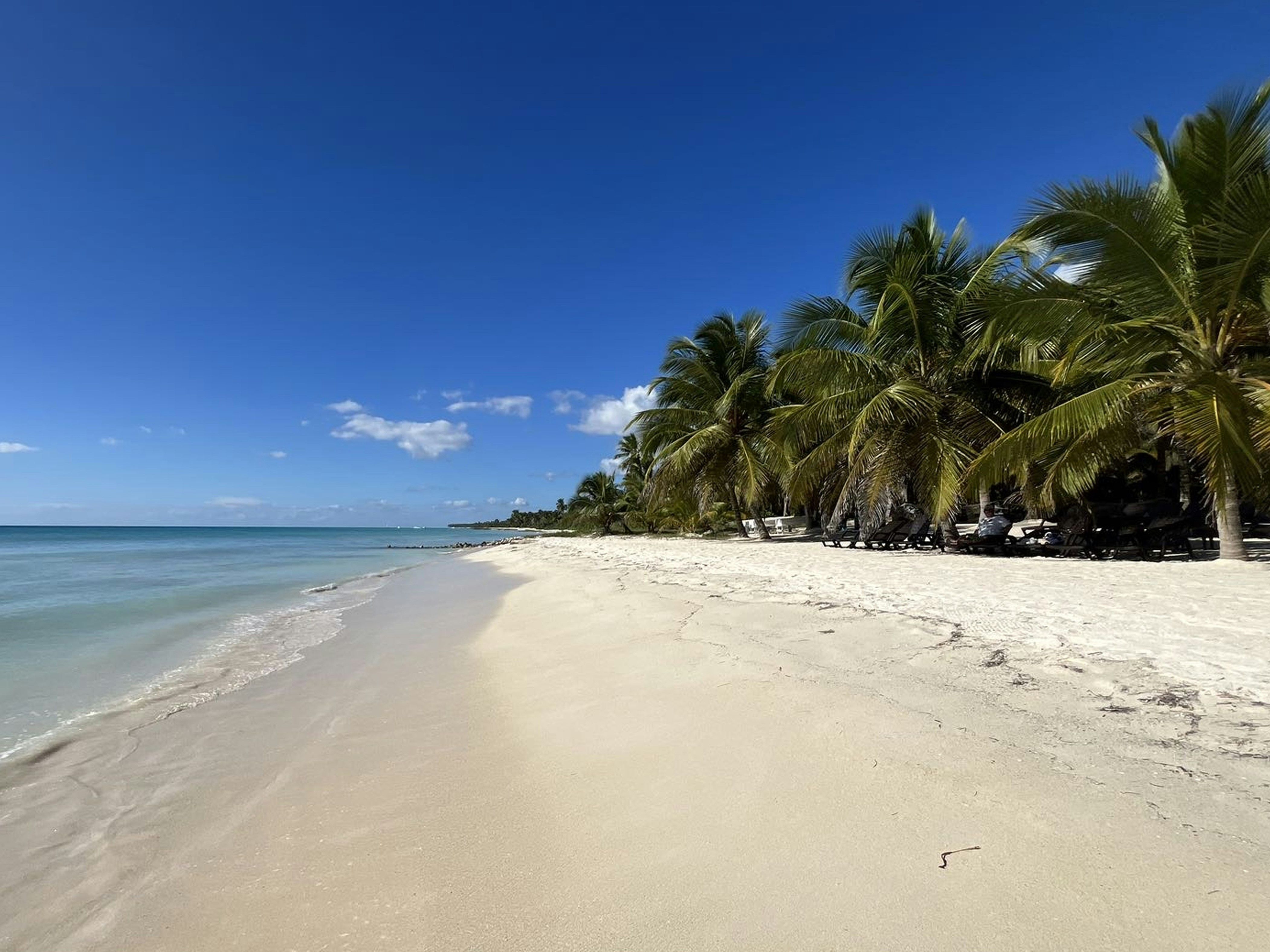 Bimini Bahamas Island Charter