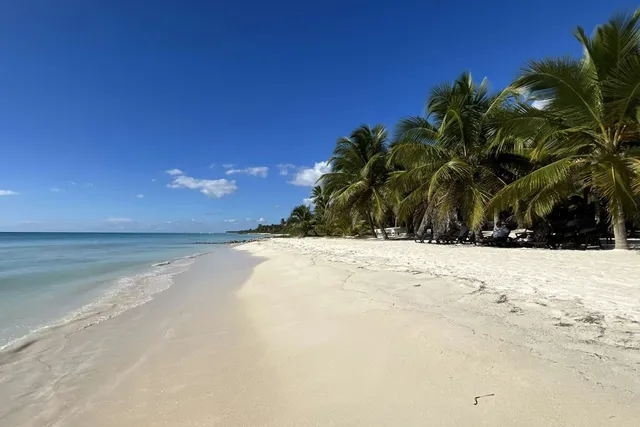Bimini Bahamas