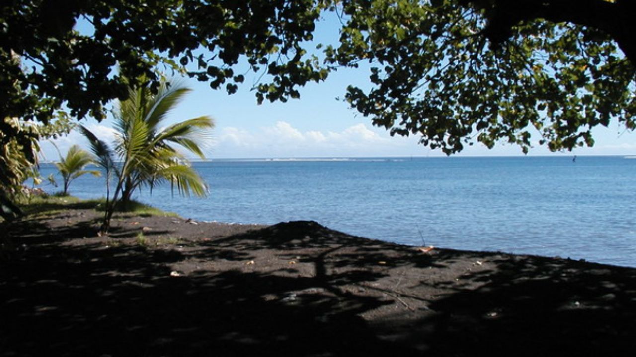 Tahiti Beach palms shading dark sand and turquoise water. 

