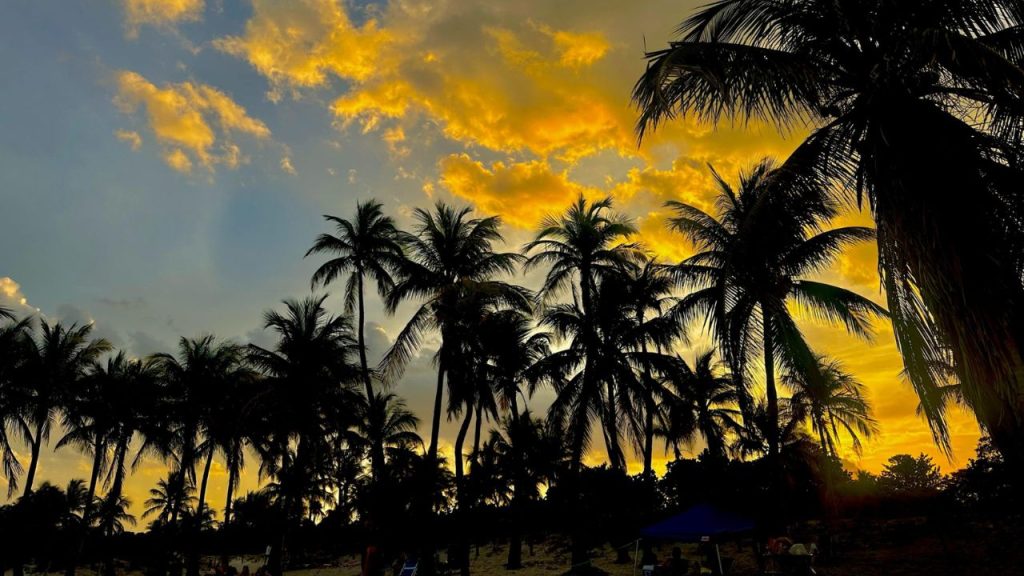 Islamorada palm silhouettes glowing under vivid tropical sunset sky.