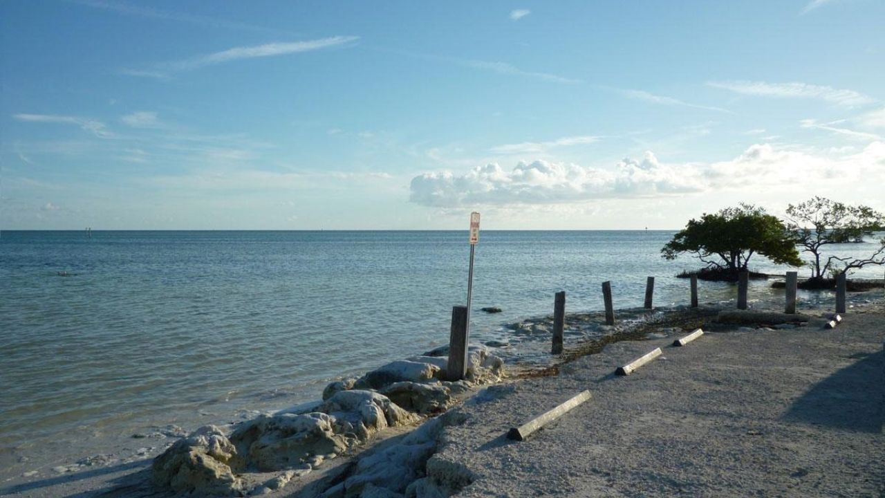 Anne’s Beach shoreline with rocks, mangroves, and calm ocean