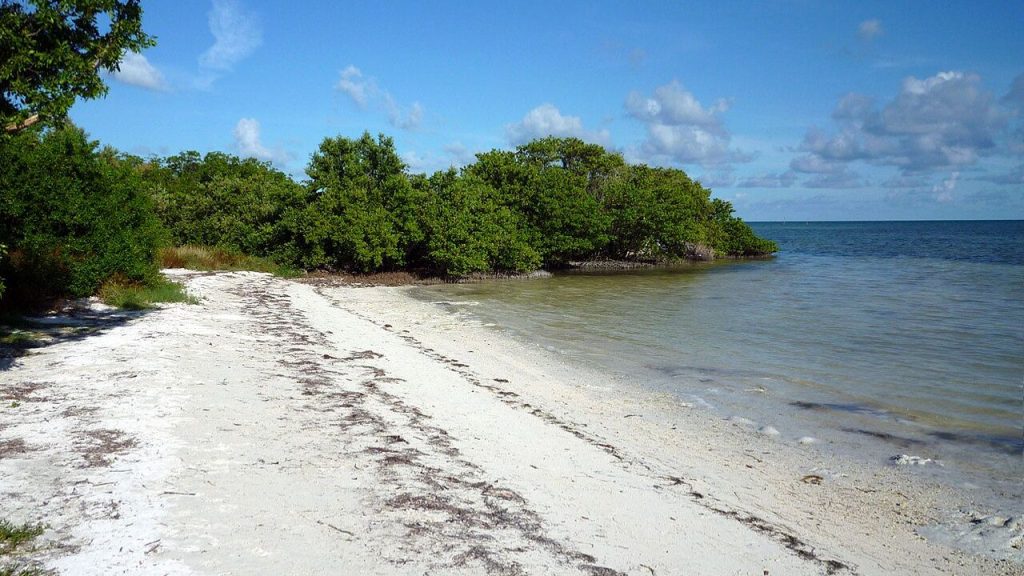Anne’s Beach shoreline with mangroves, sand, and calm water.