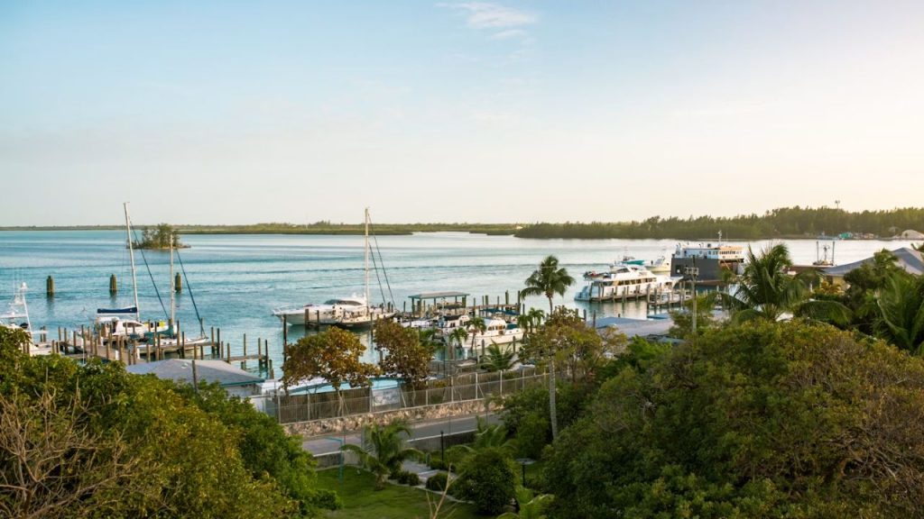 Bimini Fishing vs Florida Keys