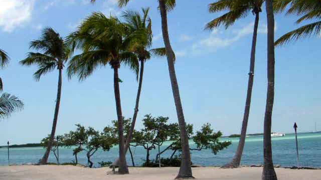 Islamorada beach with palm trees and turquoise ocean horizon.
