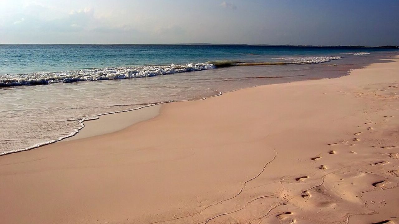 Footprints on pink sand beach with turquoise ocean waves
