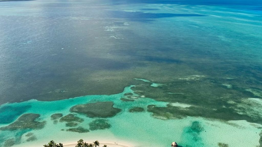Aerial view of turquoise ocean and palm‑lined beach.