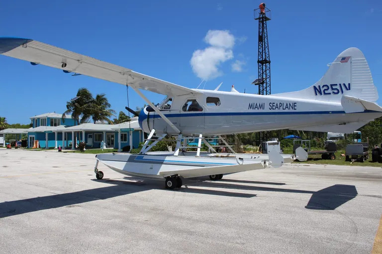 Miami seaplane parked near palm trees under clear sky.
